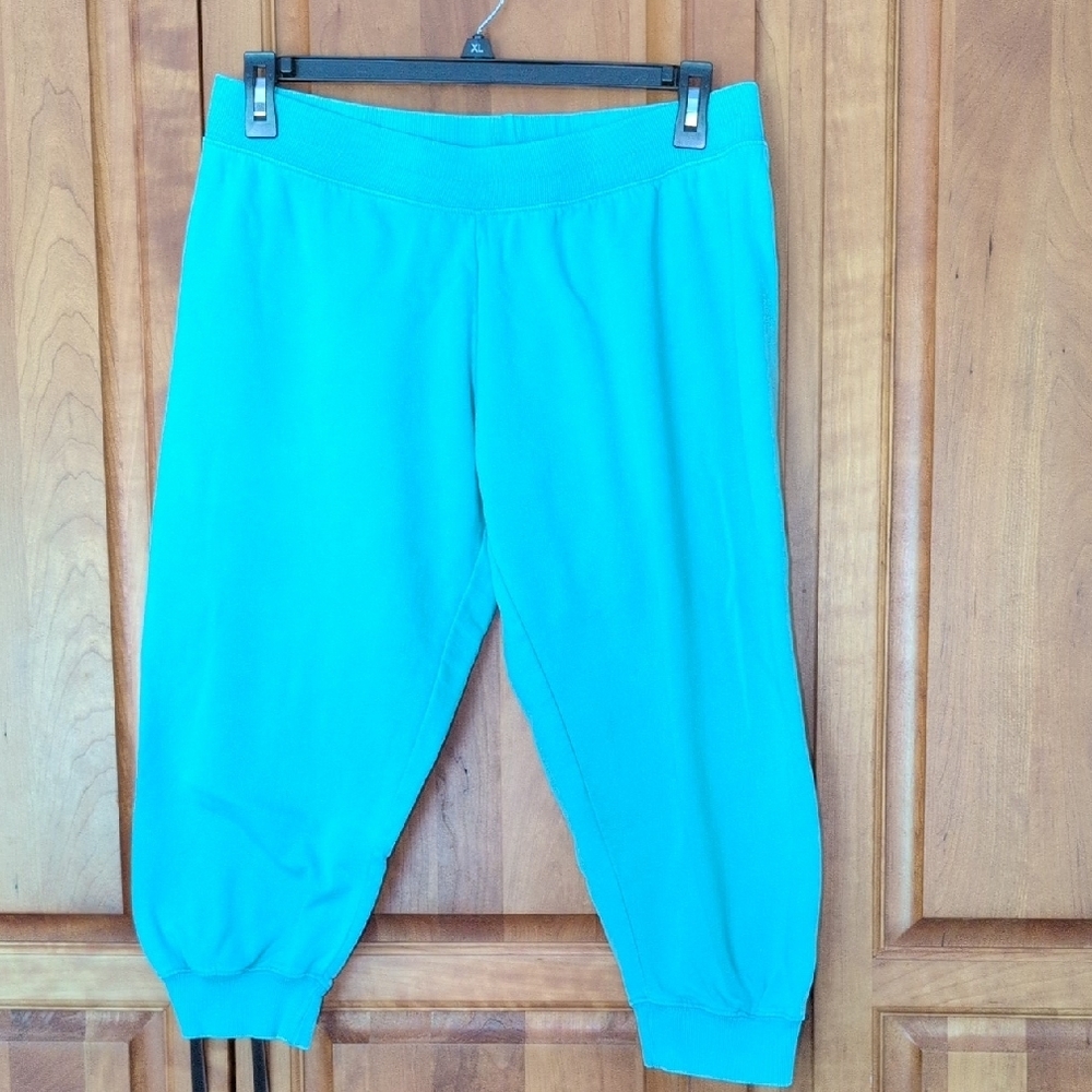 Fabletics Mint Green Joggers Elastic Waistband Relaxed Fit
